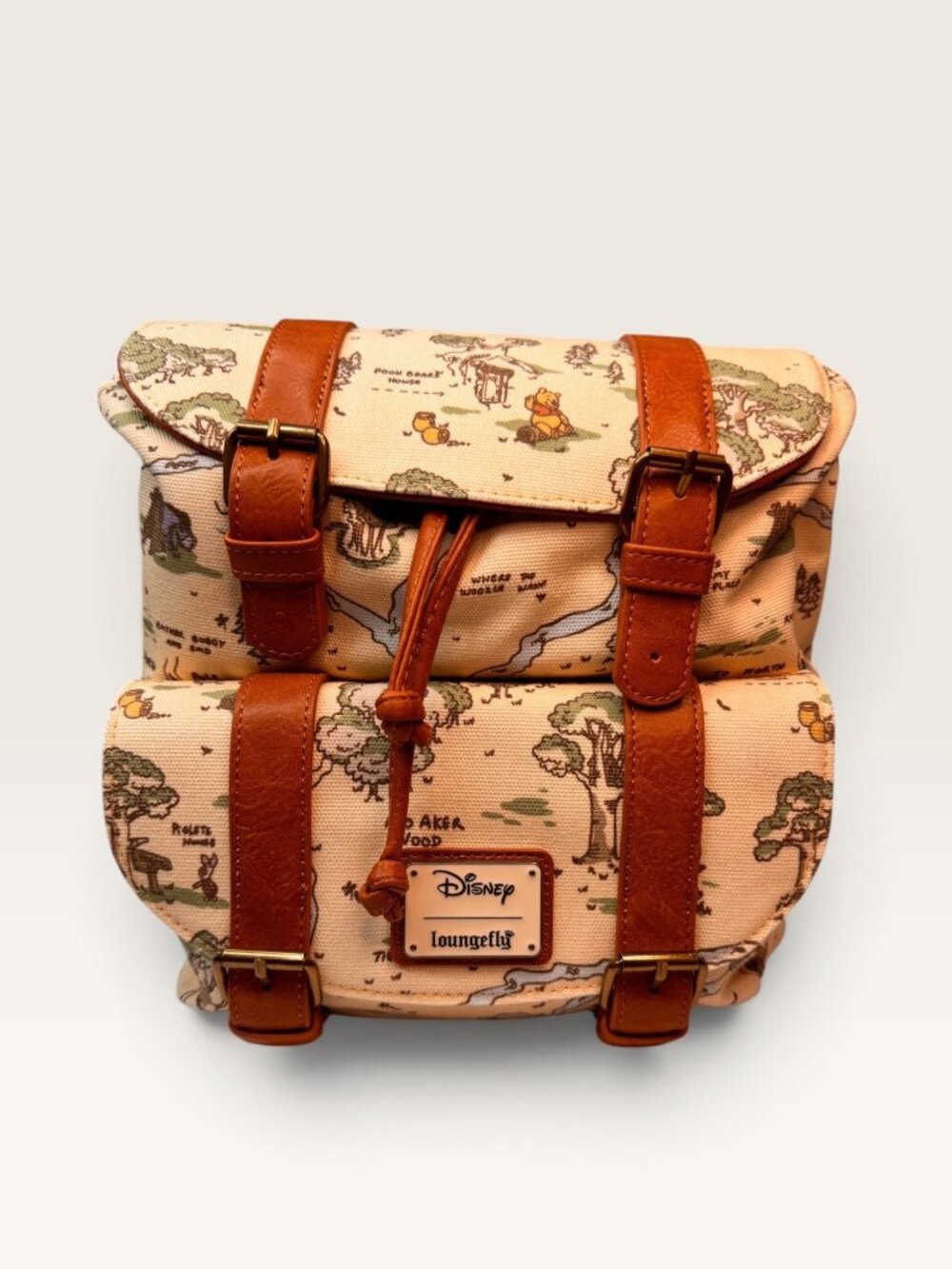 Loungefly Disney Winnie Pooh Hundred Acre Wood Map Buckle Mini Backpack New